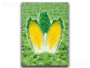 ��-���޲˷N��-���r(n��ng)���v