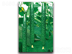 �n�ܶ�̖-�S�ϷN��-���r(n��ng)���v