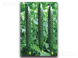 �n����̖-�S�ϷN��-���r(n��ng)���v