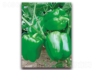 �_(d��)��-�𽷷N��-���r(n��ng)���v