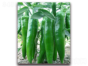 �Խ�һ̖(h��o)-ţ�ǽ��N��-���r(n��ng)���v