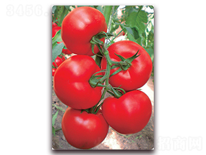 ����X3F1-��TY�۹����ѷN��-���r���v