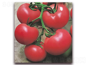 ���r(n��ng)��̖-���Ӳ�۷��ѷN��-���r(n��ng)���v