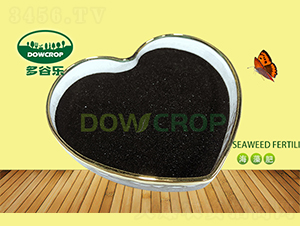 ��ĩ��徫-��Ș�(l��)