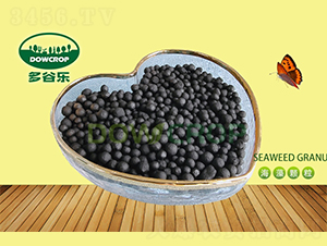 �����ЙC(j��)���w��-��Ș�(l��)