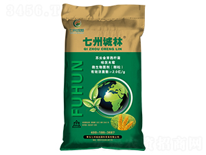 ��ʮ��С���������طN��-���ݳ���