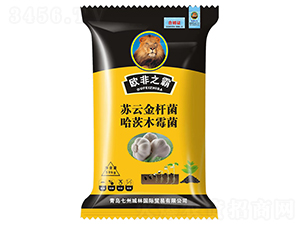 ������طN��-�W��֮��-���ݳ���