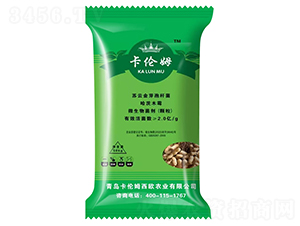 �������طN��-����ķ-���ݳ���