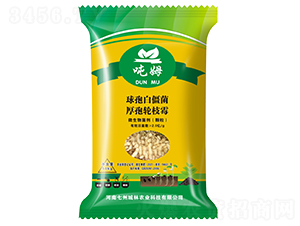 �����طN��-��ķ-���ݳ���