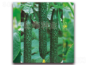 ���m35-�S�ϷN��-�ꂥ�N�I(y��)