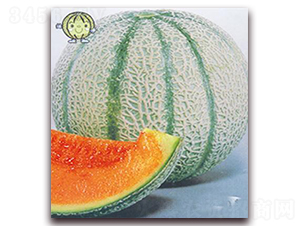 ����-��ϷN��-�ꂥ�N�I(y��)