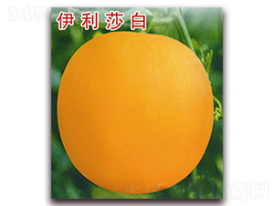 ����ɯ��-��ϷN��-�ꂥ�N�I(y��)