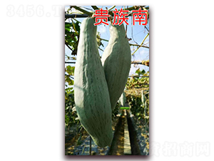 �F���Ϲ�-�ϹϷN��-�ꂥ�N�I(y��)