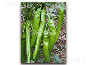 ����6̖(h��o)-�����N��-�ꂥ�N�I(y��)