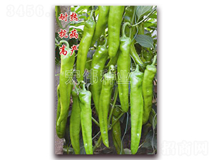 ����8̖(h��o)-�����N��-�ꂥ�N�I(y��)