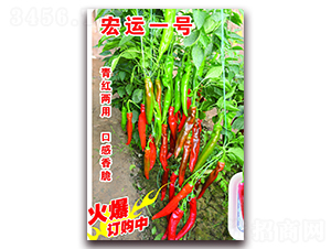 ���\һ̖ˮ����-�����N��-�ꂥ�N�I(y��)