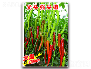 ���^���⽷-�����N��-�ꂥ�N�I(y��)