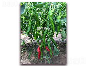 ���]һ̖-�����N��-�ꂥ�N�I(y��)