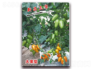 ��ţ3̖�_��-�������t���N��-�ꂥ�N�I(y��)