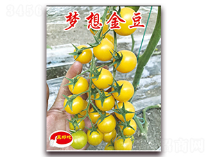 �����-�������t���N��-�ꂥ�N�I(y��)