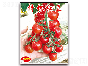 ��Ѽt��-�������t���N��-�ꂥ�N�I(y��)