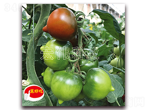 ����һ̖(h��o)-�������t���N��-�ꂥ�N�I(y��)