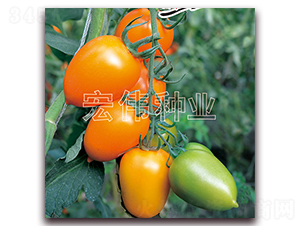 ��ţһ̖-�������t���N��-�ꂥ�N�I(y��)