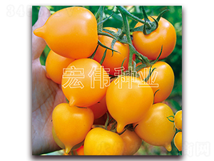 ����һ̖-�������t���N��-�ꂥ�N�I(y��)