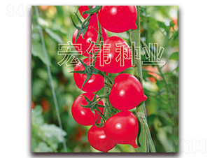 ����һ̖-�������t���N��-�ꂥ�N�I(y��)