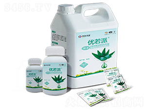 �r�Ç��F����-��(y��u)����-�к����