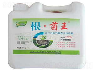 ��������-�����Ƽ�