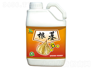 ����-�����Ƽ�