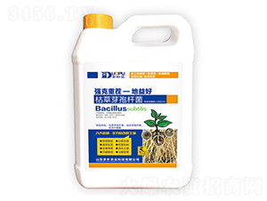 �ݲ�ѿ�ߗU��-�����Ƽ�