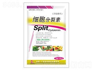 ��(x��)��������-�����Ƽ� 