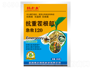 ���ز��������120-�n��̫-�����Ƽ�