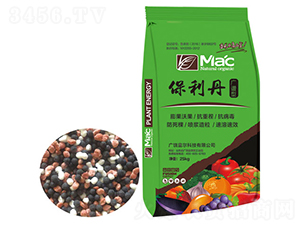 ΢�������-������-�����Ƽ�