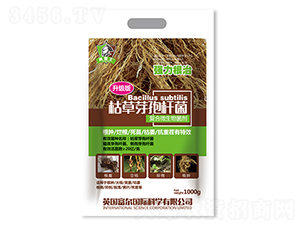 �ݲ�ѿ�ߗU��������(j��)�棩-�����Ƽ�