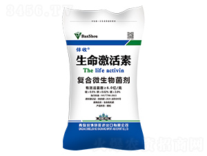 �ͺ�΢�������-����������-����ʢ