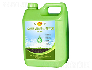 �zԭ���{(di��o)������I(y��ng)�B(y��ng)Һ-��������