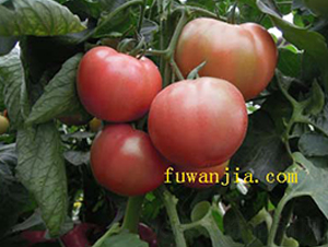 ��(y��u)��119-���ѷN��-���f��