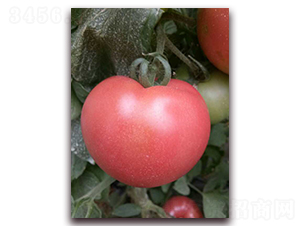 ��(y��u)��180-���ѷN��-���f��