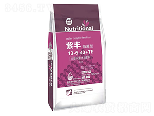 �����ʹ���Ԫ��ˮ�ܷ���13-6-40+TE-���S-�����п�