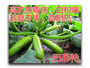 �ͷ���-�����J�N��-�|�Z�r(n��ng)�I(y��)