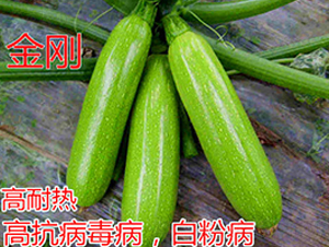 ����-�����J�N��-�|�Z�r(n��ng)�I(y��)