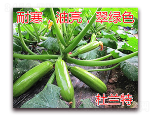 ���m��-�����J�N��-�|�Z�r(n��ng)�I(y��)