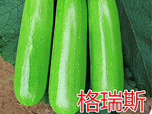 ����˹-�����J�N��-�|�Z�r(n��ng)�I(y��)