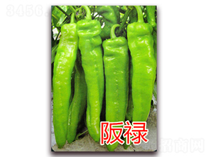 �൓-�����N��-�|�Z�r�I(y��)