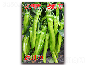 �{��79-�O�ͺ���ǽ��N��-�|�Z�r�I(y��)