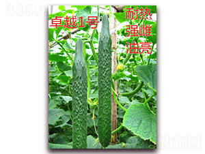 ׿Խһ̖-�S�ϷN��-�|�Z�r(n��ng)�I(y��)