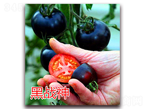 �ڑ�(zh��n)��-���ҷ��ѷN��-�|�Z�r�I(y��)